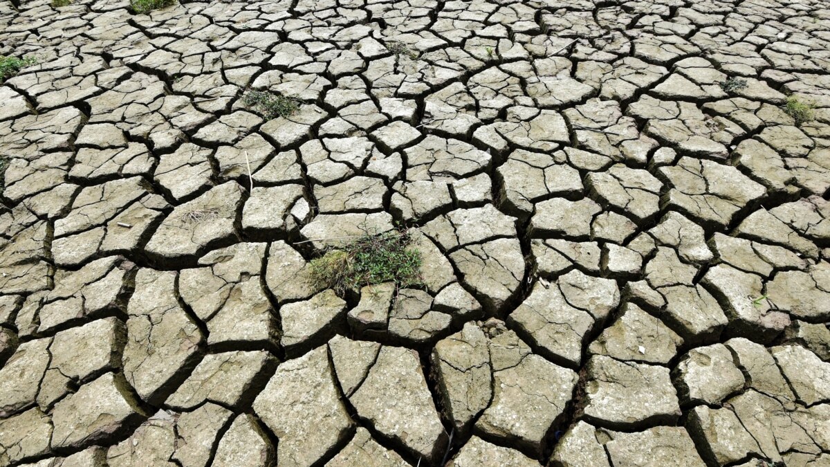 Sequía en Uruguay, la consecuencia de la&nbsp;ambición