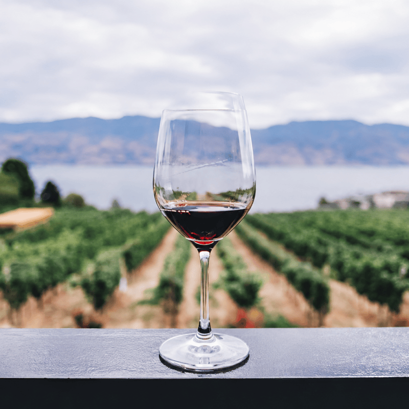 El cambio climático está cambiando el vino más de lo que&nbsp;creemos