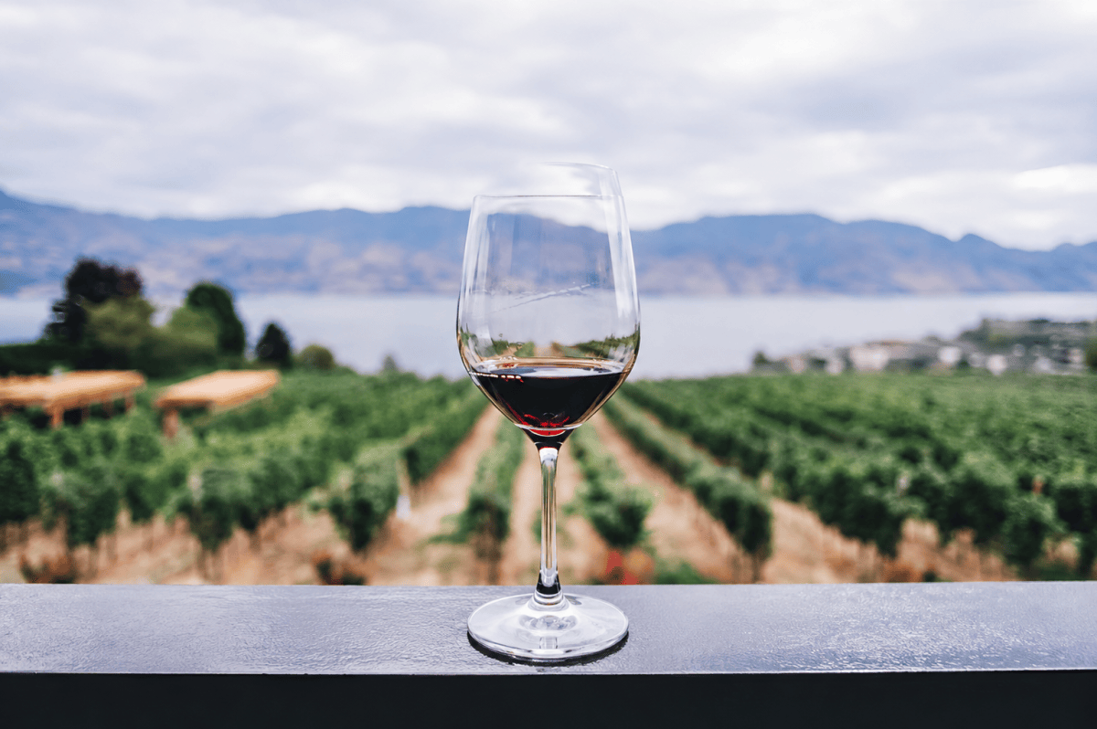 El cambio climático está cambiando el vino más de lo que&nbsp;creemos